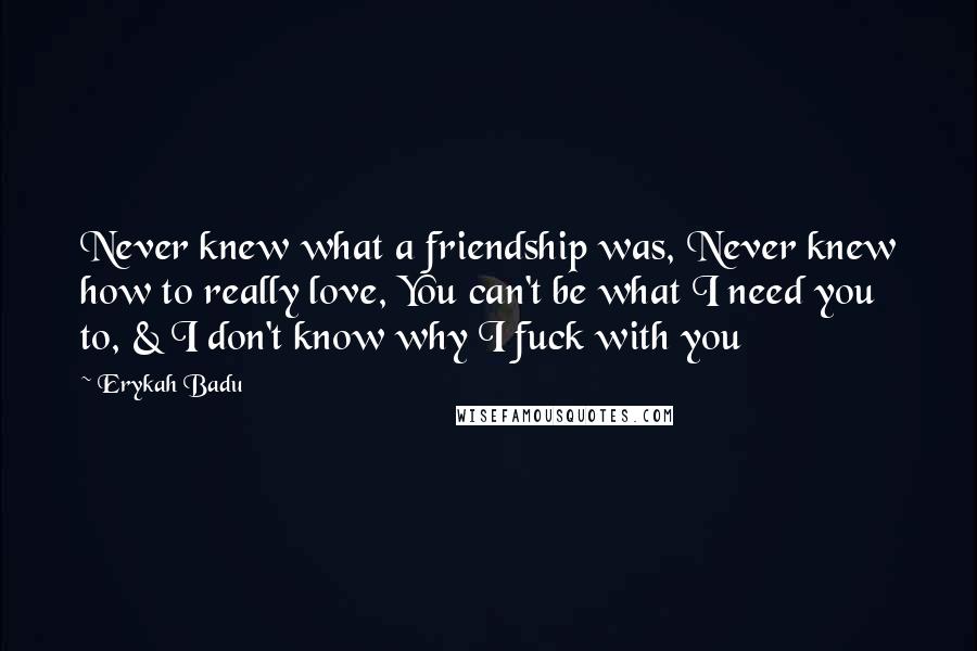 Erykah Badu Quotes: Never knew what a friendship was, Never knew how to really love, You can't be what I need you to, & I don't know why I fuck with you