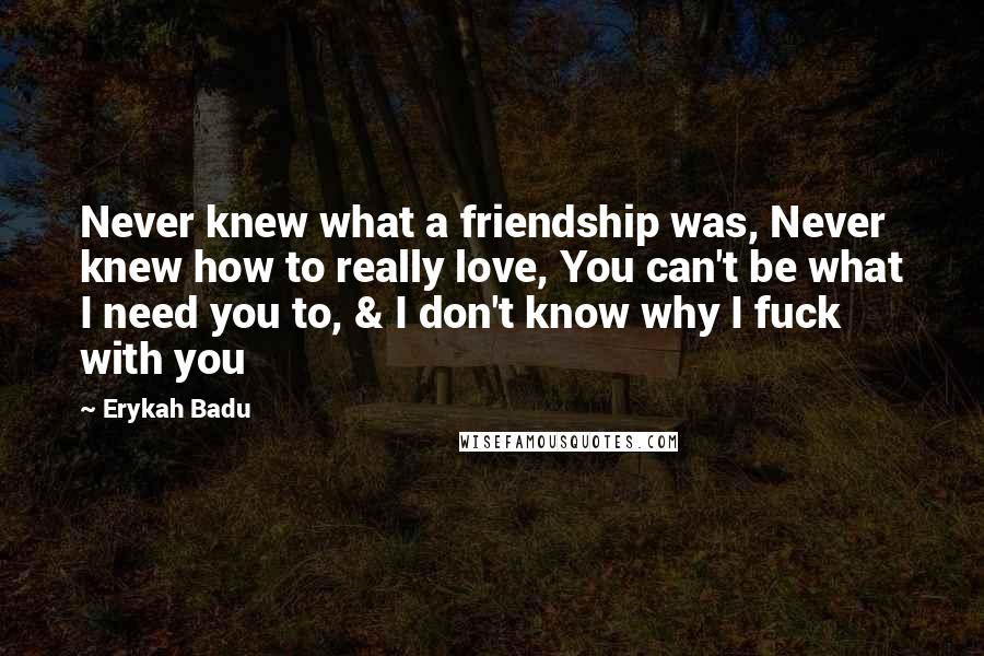 Erykah Badu Quotes: Never knew what a friendship was, Never knew how to really love, You can't be what I need you to, & I don't know why I fuck with you