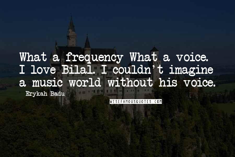 Erykah Badu Quotes: What a frequency What a voice. I love Bilal. I couldn't imagine a music world without his voice.