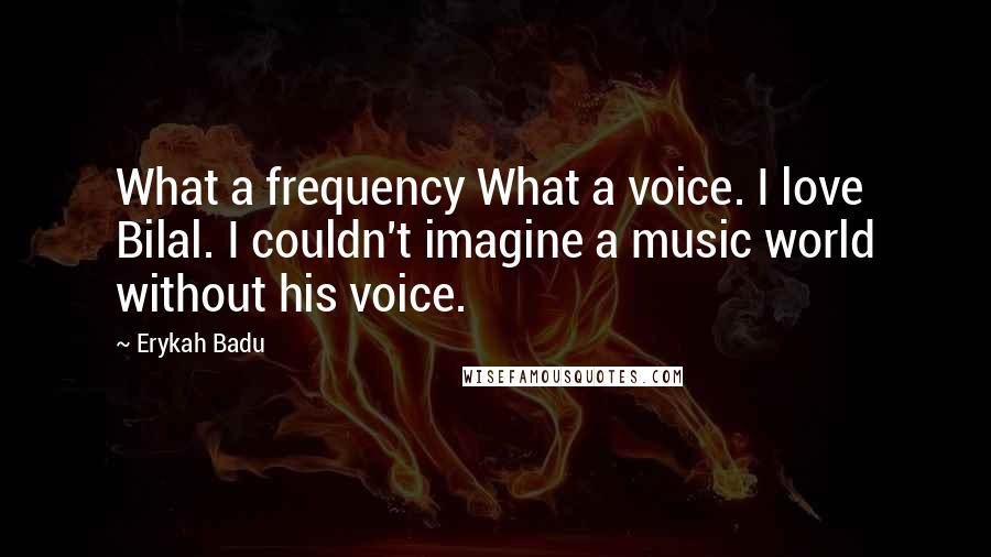 Erykah Badu Quotes: What a frequency What a voice. I love Bilal. I couldn't imagine a music world without his voice.