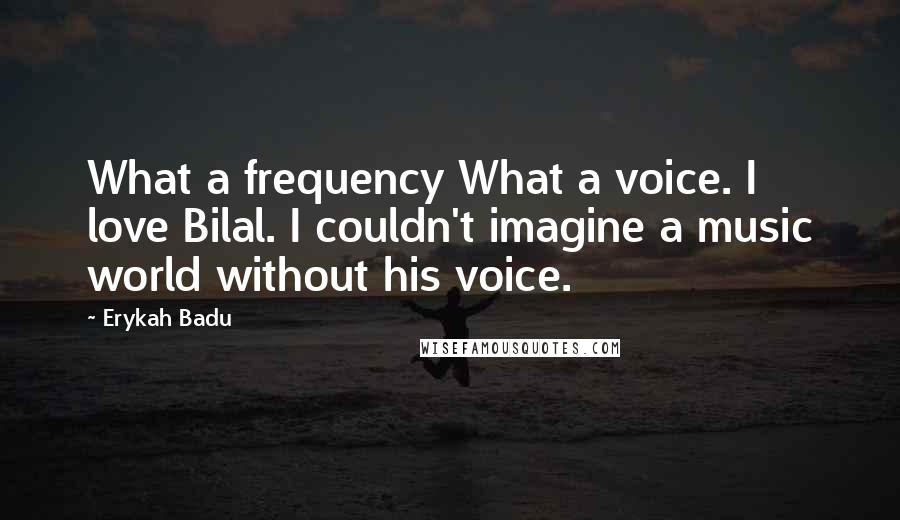 Erykah Badu Quotes: What a frequency What a voice. I love Bilal. I couldn't imagine a music world without his voice.