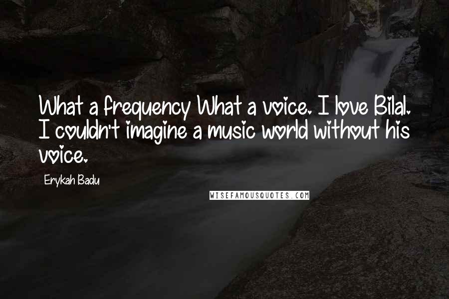 Erykah Badu Quotes: What a frequency What a voice. I love Bilal. I couldn't imagine a music world without his voice.