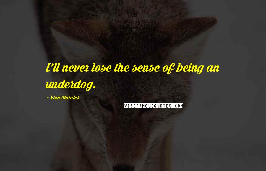 Esai Morales Quotes: I'll never lose the sense of being an underdog.