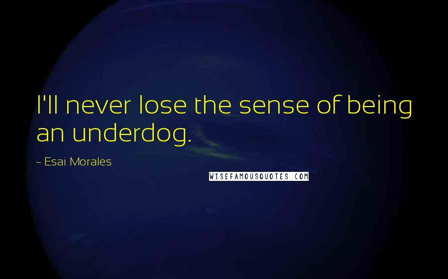 Esai Morales Quotes: I'll never lose the sense of being an underdog.