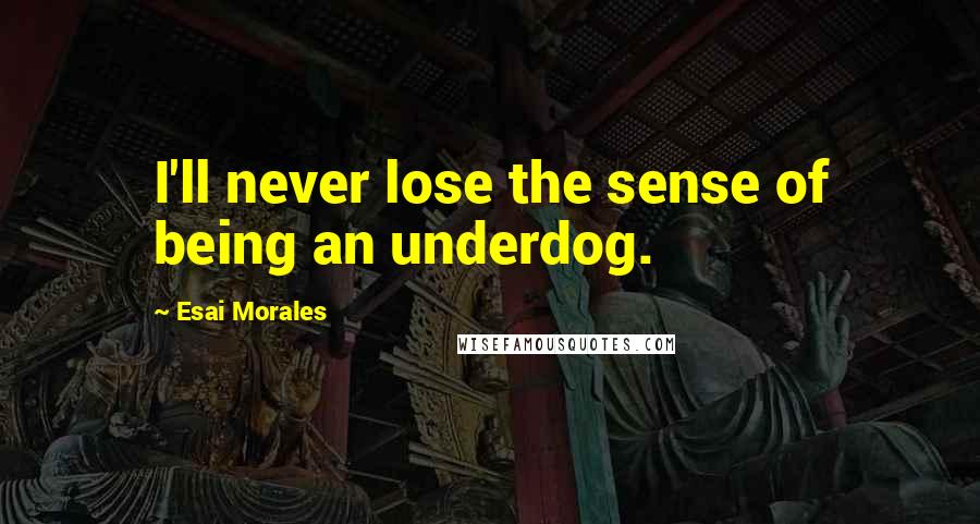 Esai Morales Quotes: I'll never lose the sense of being an underdog.