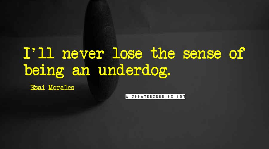 Esai Morales Quotes: I'll never lose the sense of being an underdog.
