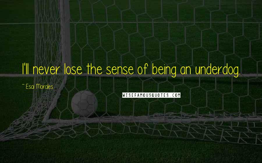 Esai Morales Quotes: I'll never lose the sense of being an underdog.