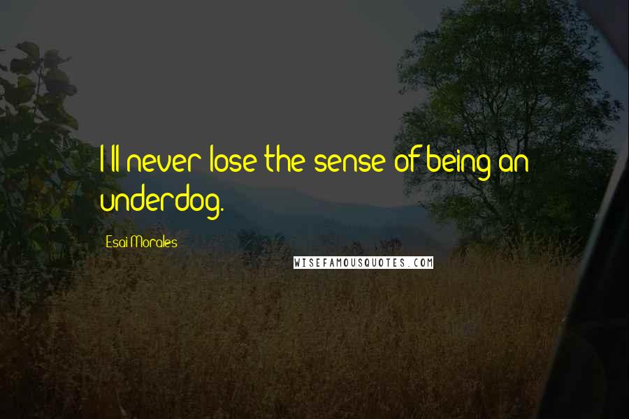 Esai Morales Quotes: I'll never lose the sense of being an underdog.