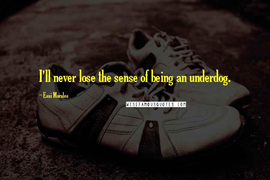 Esai Morales Quotes: I'll never lose the sense of being an underdog.