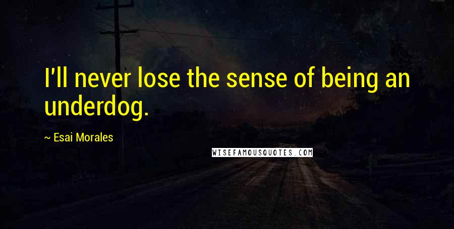 Esai Morales Quotes: I'll never lose the sense of being an underdog.