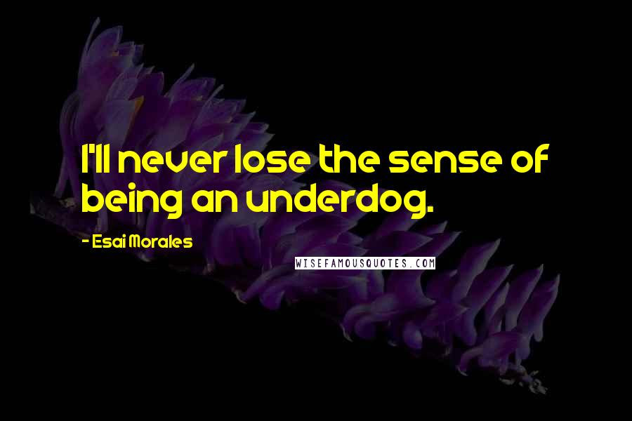 Esai Morales Quotes: I'll never lose the sense of being an underdog.