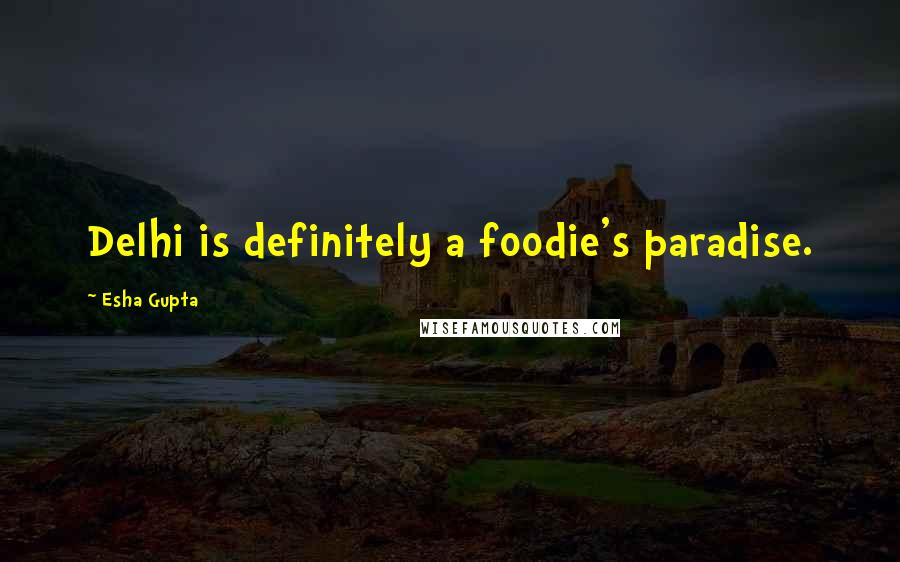 Esha Gupta Quotes: Delhi is definitely a foodie's paradise.