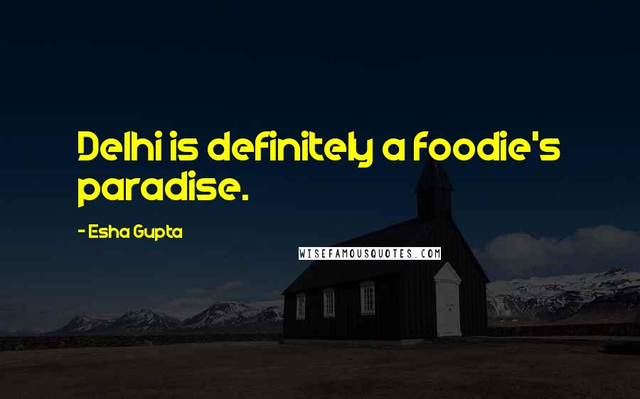 Esha Gupta Quotes: Delhi is definitely a foodie's paradise.