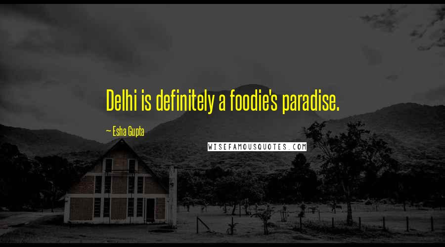 Esha Gupta Quotes: Delhi is definitely a foodie's paradise.