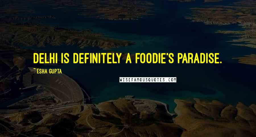 Esha Gupta Quotes: Delhi is definitely a foodie's paradise.