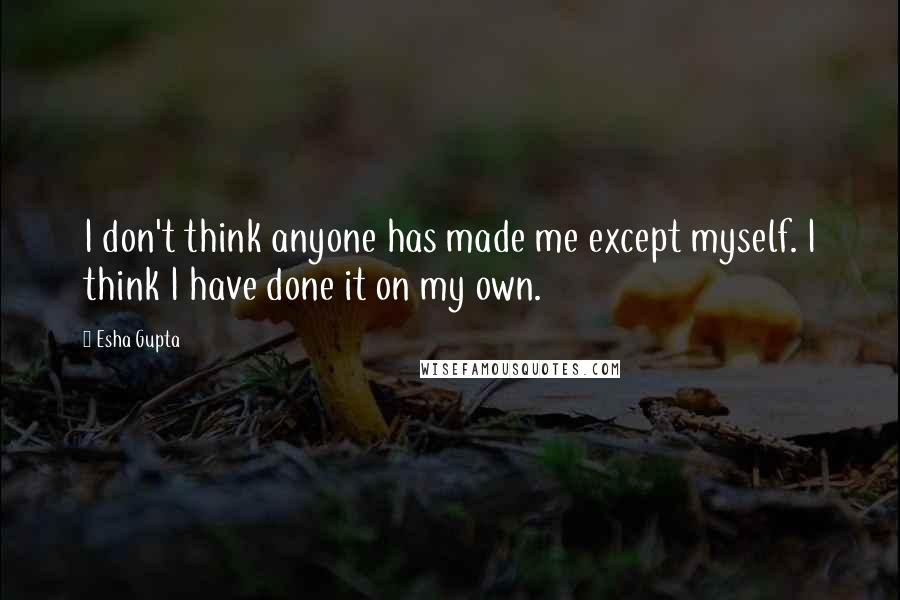 Esha Gupta Quotes: I don't think anyone has made me except myself. I think I have done it on my own.