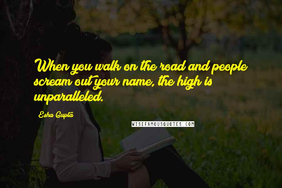 Esha Gupta Quotes: When you walk on the road and people scream out your name, the high is unparalleled.