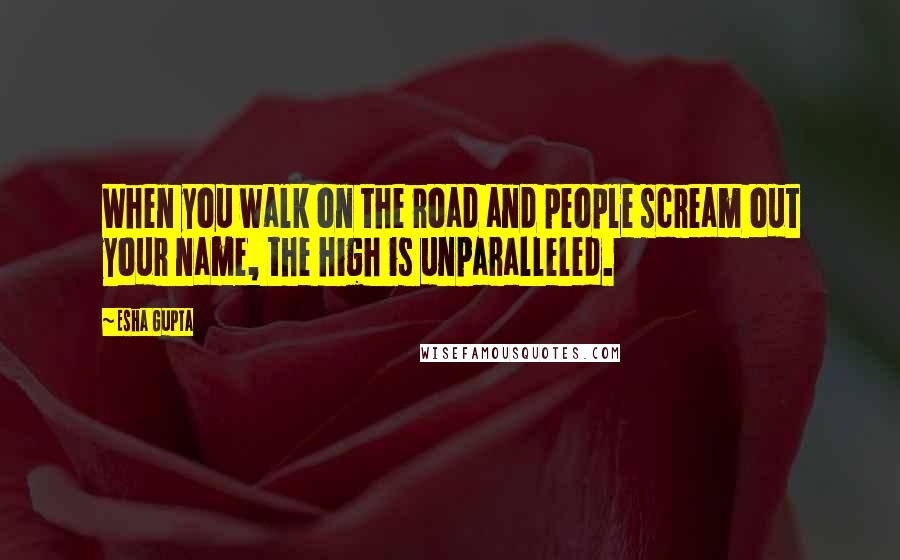 Esha Gupta Quotes: When you walk on the road and people scream out your name, the high is unparalleled.