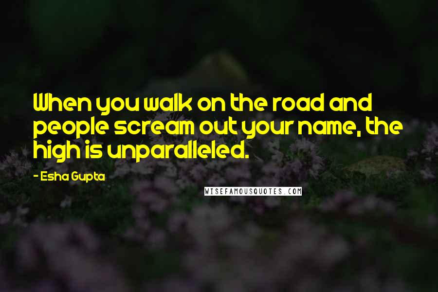 Esha Gupta Quotes: When you walk on the road and people scream out your name, the high is unparalleled.