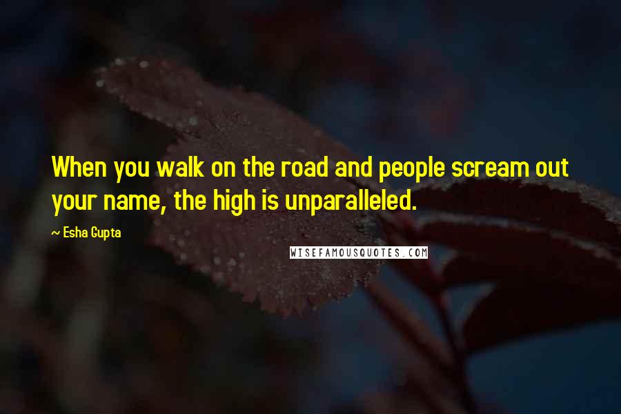 Esha Gupta Quotes: When you walk on the road and people scream out your name, the high is unparalleled.
