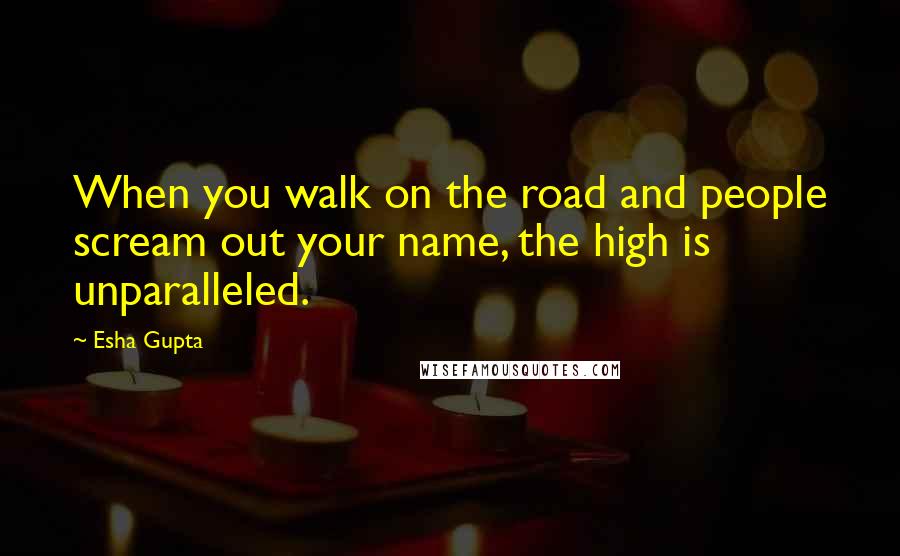 Esha Gupta Quotes: When you walk on the road and people scream out your name, the high is unparalleled.