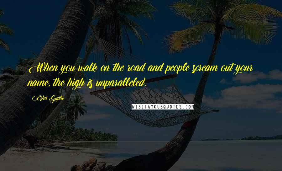 Esha Gupta Quotes: When you walk on the road and people scream out your name, the high is unparalleled.