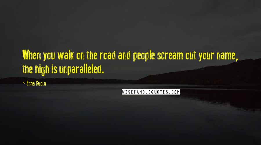 Esha Gupta Quotes: When you walk on the road and people scream out your name, the high is unparalleled.