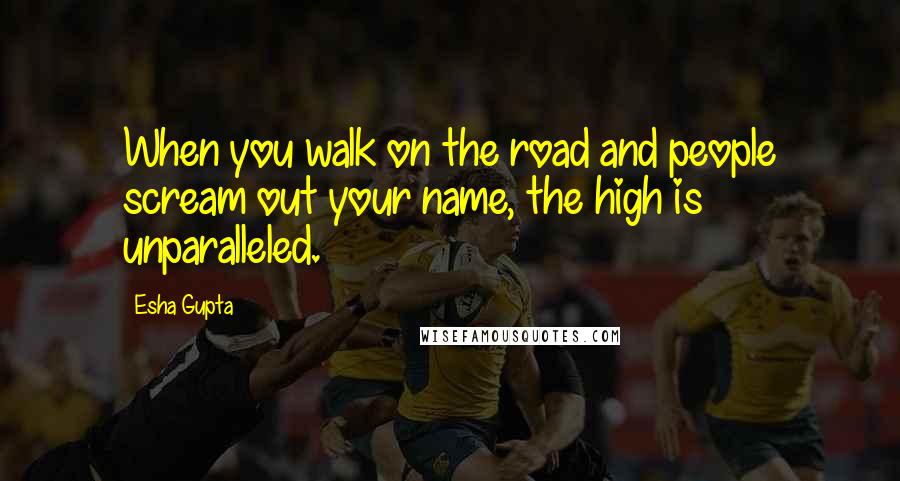 Esha Gupta Quotes: When you walk on the road and people scream out your name, the high is unparalleled.