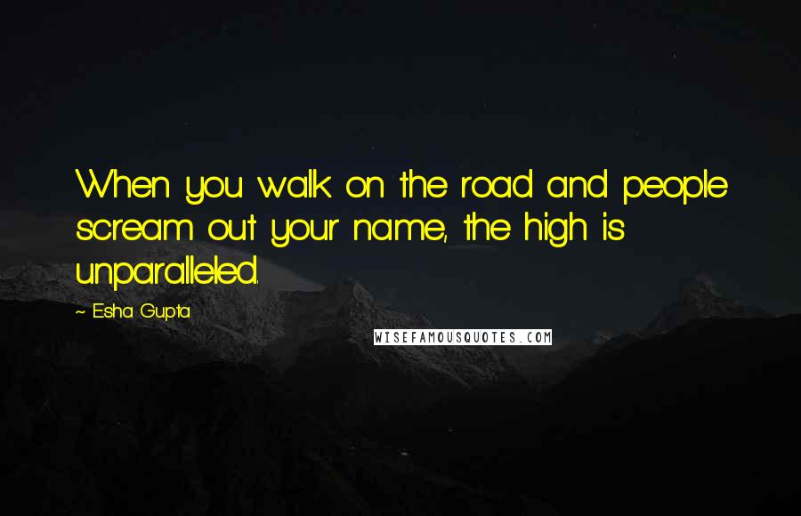 Esha Gupta Quotes: When you walk on the road and people scream out your name, the high is unparalleled.