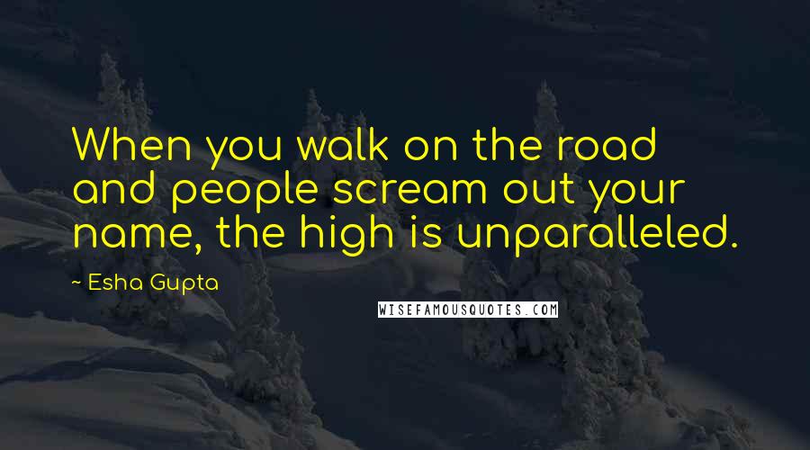 Esha Gupta Quotes: When you walk on the road and people scream out your name, the high is unparalleled.