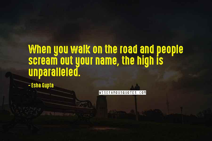 Esha Gupta Quotes: When you walk on the road and people scream out your name, the high is unparalleled.