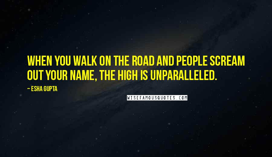 Esha Gupta Quotes: When you walk on the road and people scream out your name, the high is unparalleled.