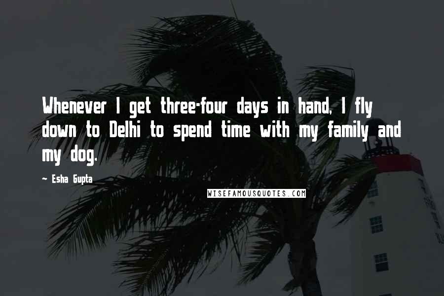 Esha Gupta Quotes: Whenever I get three-four days in hand, I fly down to Delhi to spend time with my family and my dog.