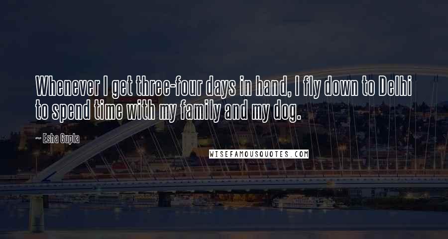 Esha Gupta Quotes: Whenever I get three-four days in hand, I fly down to Delhi to spend time with my family and my dog.