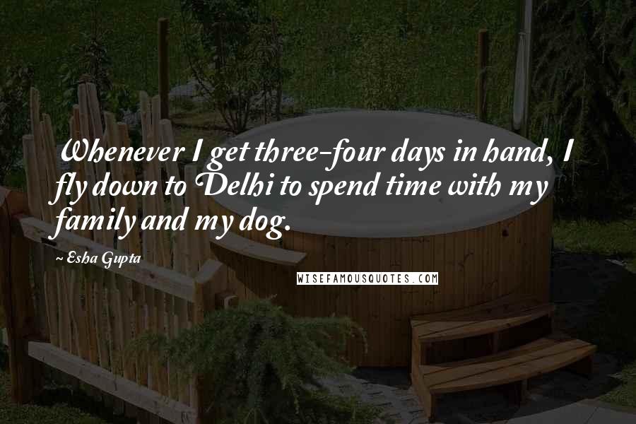 Esha Gupta Quotes: Whenever I get three-four days in hand, I fly down to Delhi to spend time with my family and my dog.