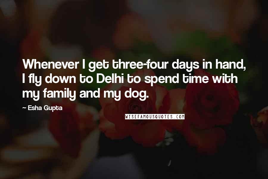 Esha Gupta Quotes: Whenever I get three-four days in hand, I fly down to Delhi to spend time with my family and my dog.