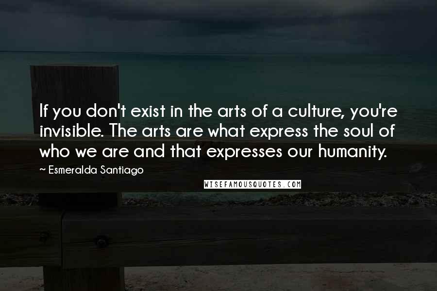 Esmeralda Santiago Quotes: If you don't exist in the arts of a culture, you're invisible. The arts are what express the soul of who we are and that expresses our humanity.