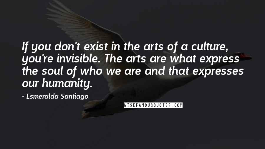 Esmeralda Santiago Quotes: If you don't exist in the arts of a culture, you're invisible. The arts are what express the soul of who we are and that expresses our humanity.