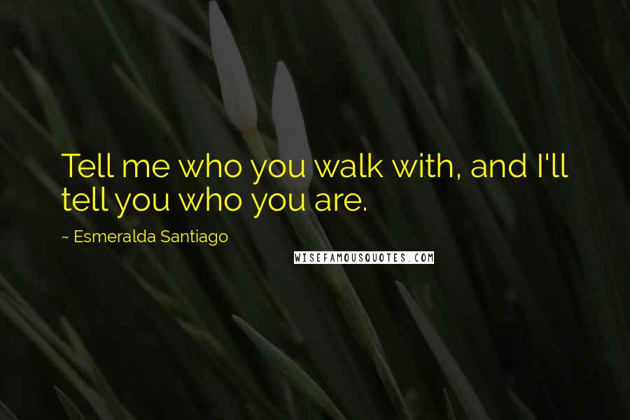 Esmeralda Santiago Quotes: Tell me who you walk with, and I'll tell you who you are.