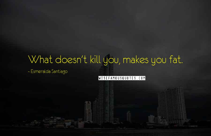 Esmeralda Santiago Quotes: What doesn't kill you, makes you fat.