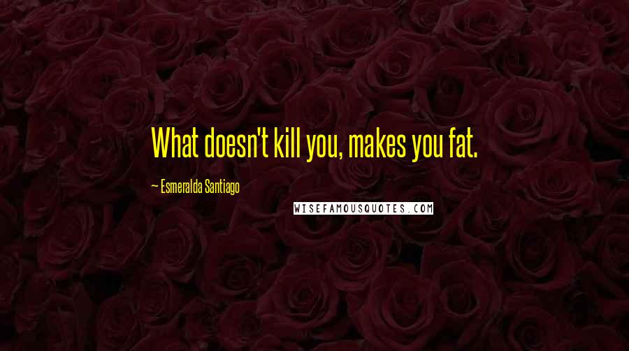 Esmeralda Santiago Quotes: What doesn't kill you, makes you fat.