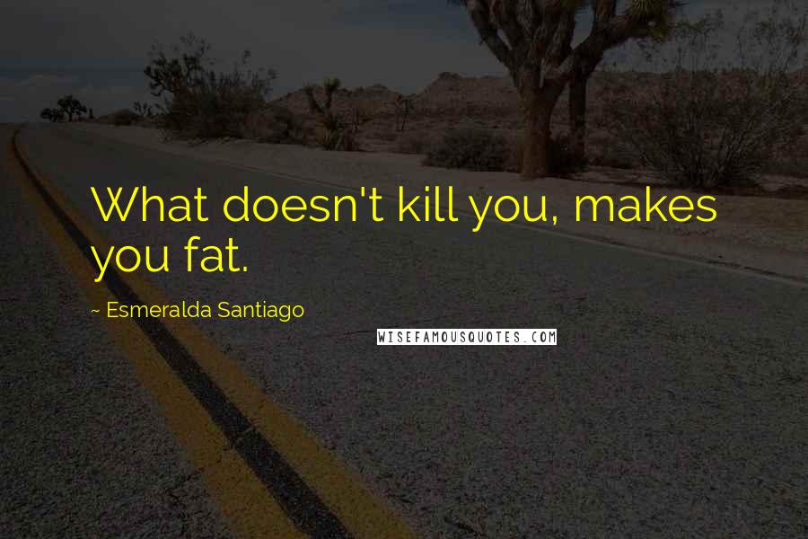 Esmeralda Santiago Quotes: What doesn't kill you, makes you fat.