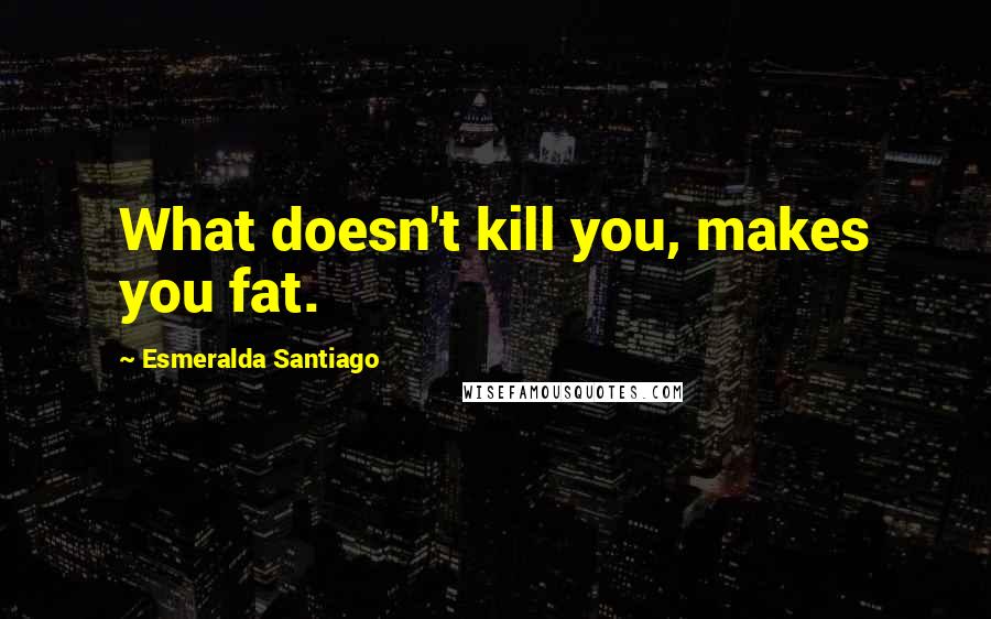Esmeralda Santiago Quotes: What doesn't kill you, makes you fat.