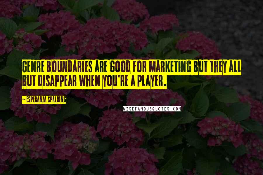 Esperanza Spalding Quotes: Genre boundaries are good for marketing but they all but disappear when you're a player.