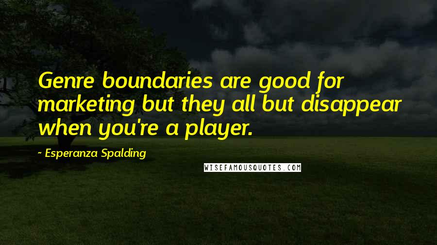 Esperanza Spalding Quotes: Genre boundaries are good for marketing but they all but disappear when you're a player.