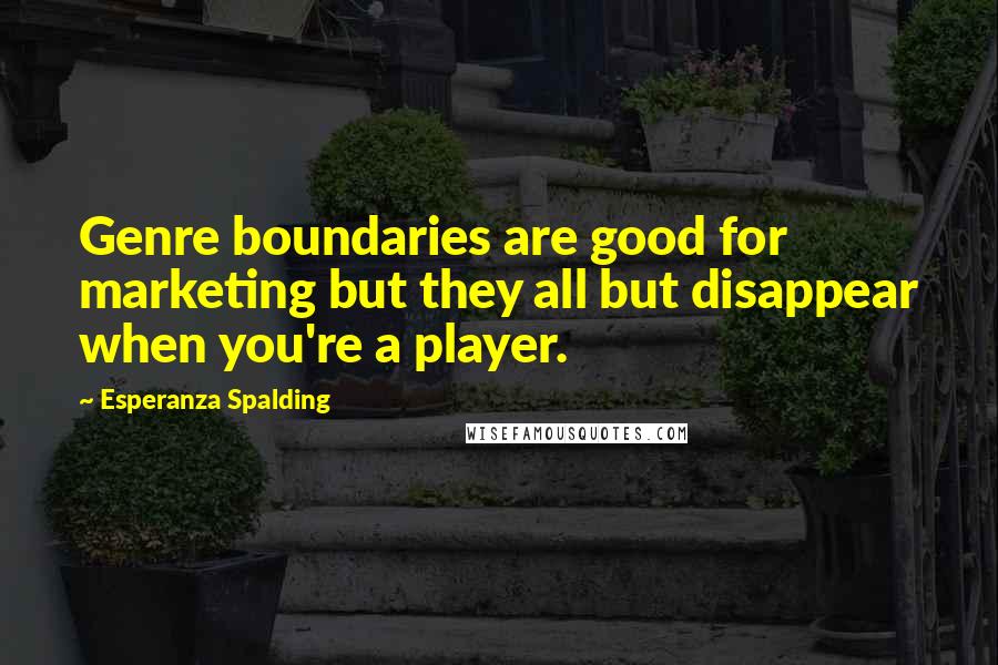 Esperanza Spalding Quotes: Genre boundaries are good for marketing but they all but disappear when you're a player.