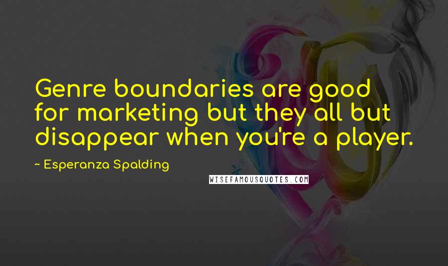 Esperanza Spalding Quotes: Genre boundaries are good for marketing but they all but disappear when you're a player.