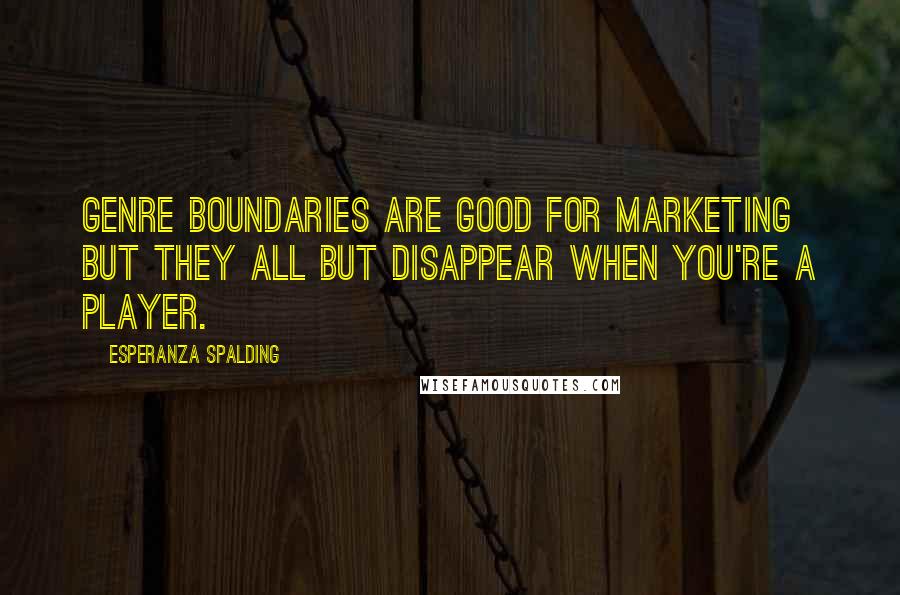 Esperanza Spalding Quotes: Genre boundaries are good for marketing but they all but disappear when you're a player.