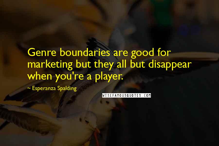 Esperanza Spalding Quotes: Genre boundaries are good for marketing but they all but disappear when you're a player.