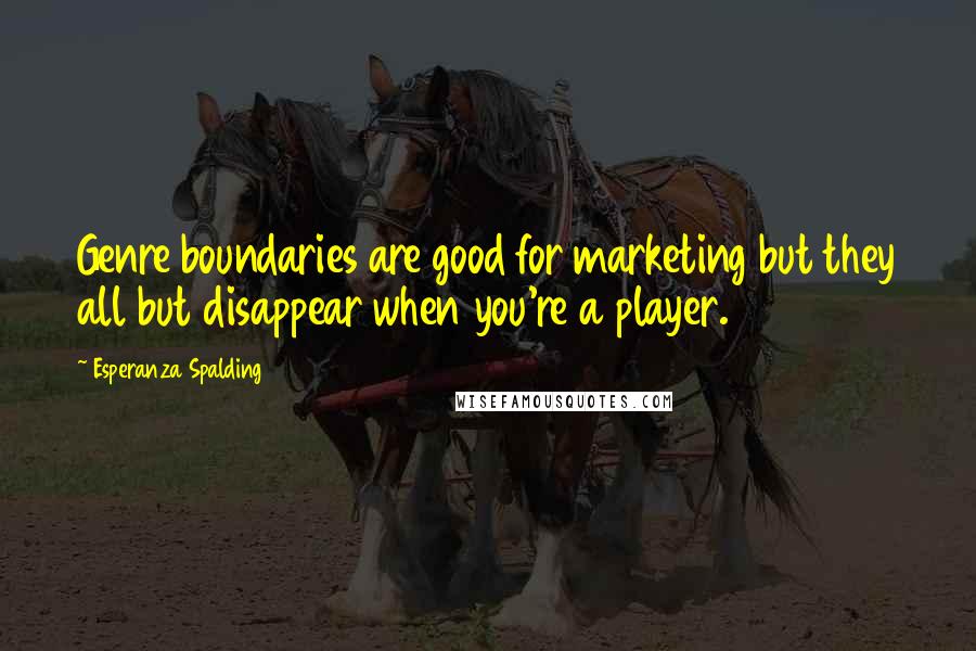 Esperanza Spalding Quotes: Genre boundaries are good for marketing but they all but disappear when you're a player.